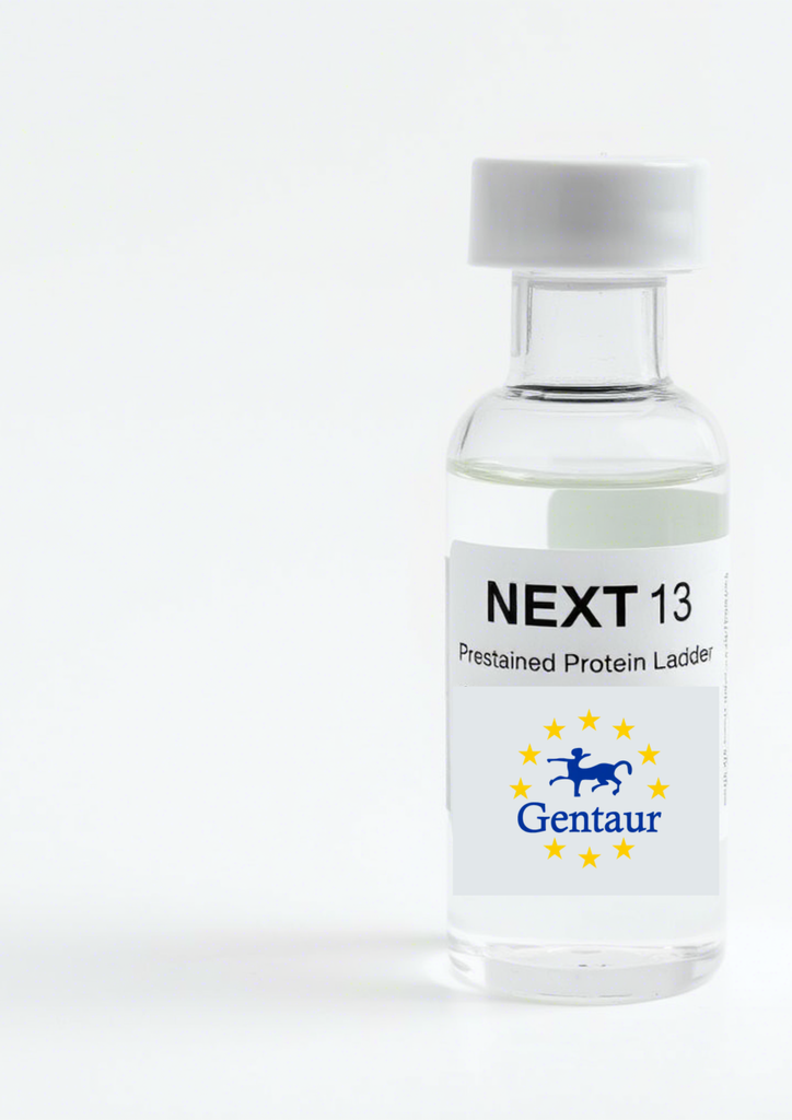 NEXT 13 Prestained Protein Ladder 